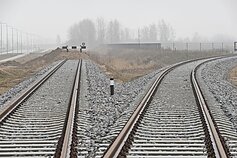 Šiaulių vadovų iniciatyva į geležinkelio atšaką ir krovos terminalą investuota beveik 19 milijonų eurų.