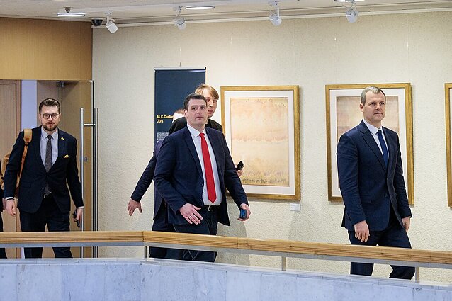 Politologė: jei politikai neišsispręs „Santa Barbarų“, gynybos klausimas vėl liks paraštėse