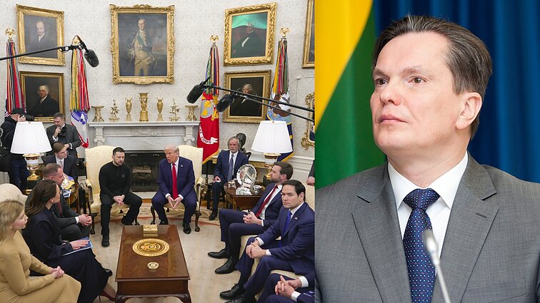 Kyjivo poziciją dėl garantijų palaikantis Bajarūnas: Trumpui reikia Zelenskio pritarimo