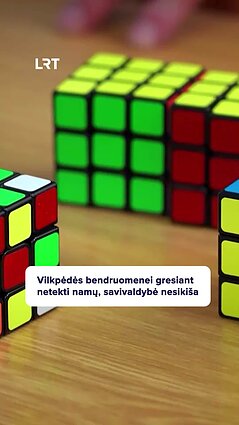 Vilkpėdės bendruomenė nežinomybėje – liko be namų