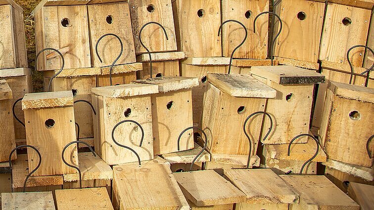 Paukščių labui – Viešvilės fabriko įkūrėjo iššūkis: sieks pagaminti milijoną inkilų