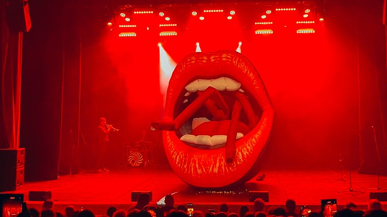 „Antikvarinių Kašpirovskio dantų“ koncerto akimirka