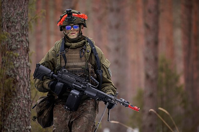 Lietuvos kariuomenė