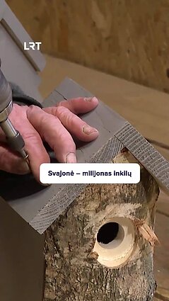 Viešvilės fabriko įkūrėjo iššūkis: sieks pagaminti milijoną inkilų!