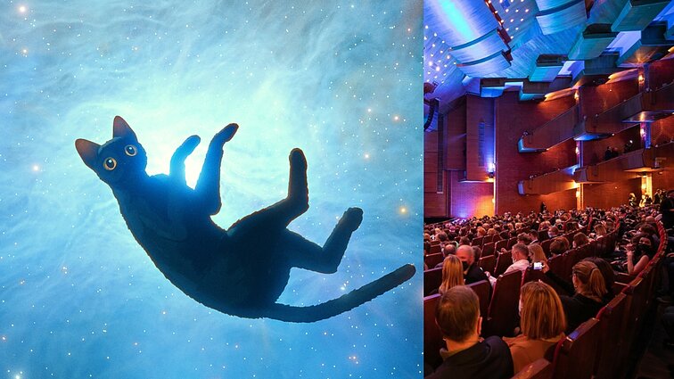 Prasideda 30-asis „Kino pavasaris“: festivalį atidarė „Oskaru“ įvertintas latvių filmas