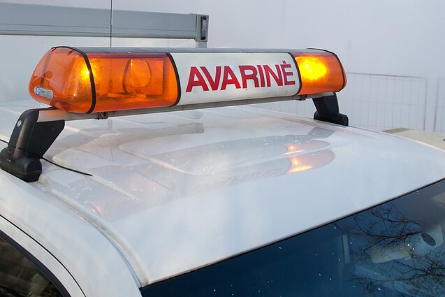 Oranžiniai švyturėliai Oranžiniai švyturėliai
