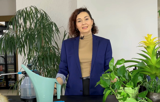 Kambarinių augalų priežiūros mitai: kodėl neverta laistyti kartą per savaitę?