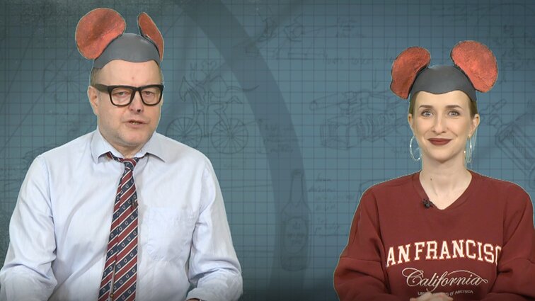 Peliukai apie Biručio pasitraukimą iš LSDP pirmininko rinkimų: sugadinta šventė?