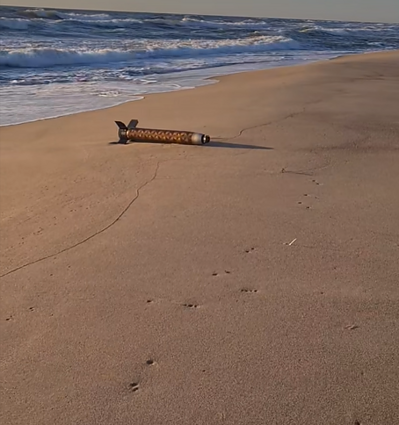 Klaipėdos paplūdimyje aptiktas keistas radinys, kuris primena raketą.