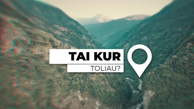 Tai kur toliau? Neatsargus žingsnis gali kainuoti gyvybę: pavojų kupina laukinio medaus medžioklė Nepale (su vertimu į gestų k.)
