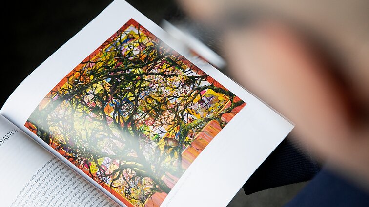 „Gelbėjimosi ratas siubliuško“: kultūros leidinių redakcijos nepatenkintos smukusia parama