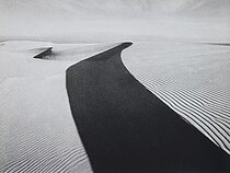 „Nidos kopos“. 1984 m. „Nidos kopos“. 1984 m.