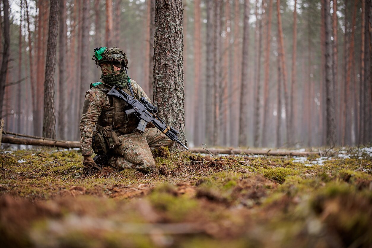 Lietuvos kariuomenė