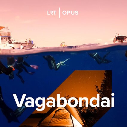 Laisvojo nardymo propaguotojai: vandens gyvūnai prisileidžia arčiau