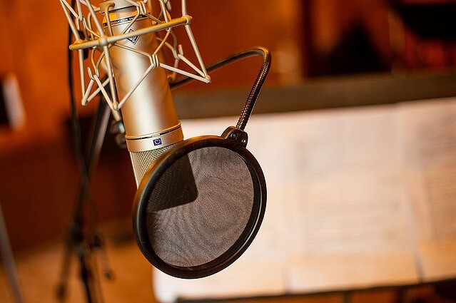 Sinkevičius ragina „Laisvosios Europos radijo“ nepalikti likimo valiai: kreipėsi į EK