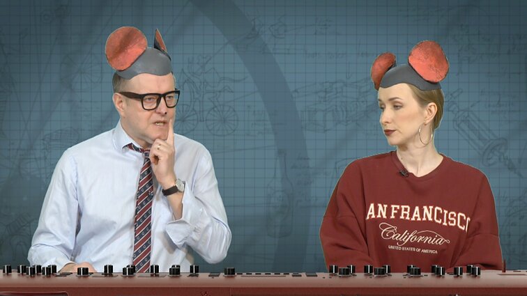 Peliukai apie Ministerijų miestelį: pirmiausia turi atsirasti kaimelis?