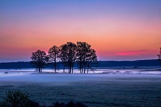 Osieczna, Polska