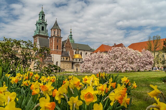 Kraków, Wawel wiosną