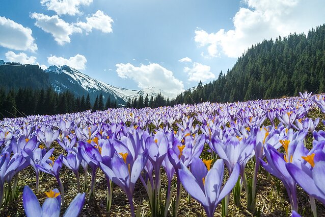 Tatry wiosną
