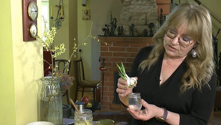 „Česnako kvapo galima išvengti“: siūlo pasigaminti gardžią ir sveikatai palankią česnakynę