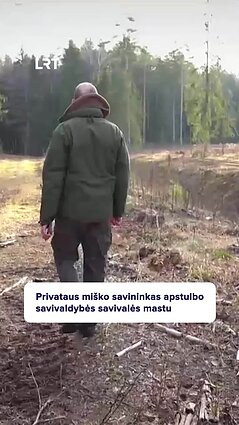 Miško savininkas apstulbo: pamatė, kad dalis valdos iškirsta, o medienos nė kvapo