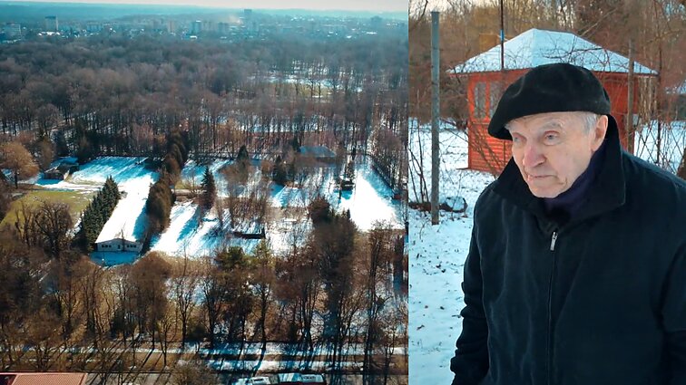 „Kaip rusai Ukrainoje“: savivalda užsimojo nesitarusi iškirsti sengirę ir įkurti parkingą