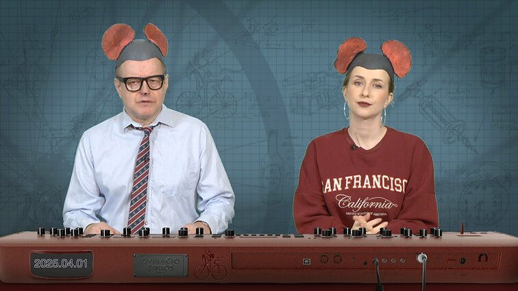 Peliukai apie nuteistą Marine Le Pen: kvieskime prancūzus po lietuvišku juridiniu skėčiu?