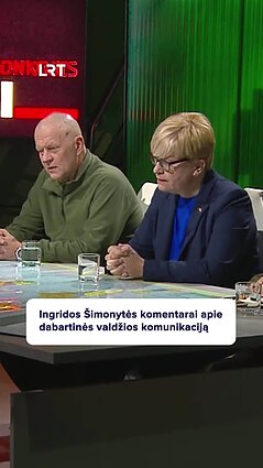 Šimonytė apie gynybą: man gaila, kad politikai sako būkit sau, o mes sutvarkysim