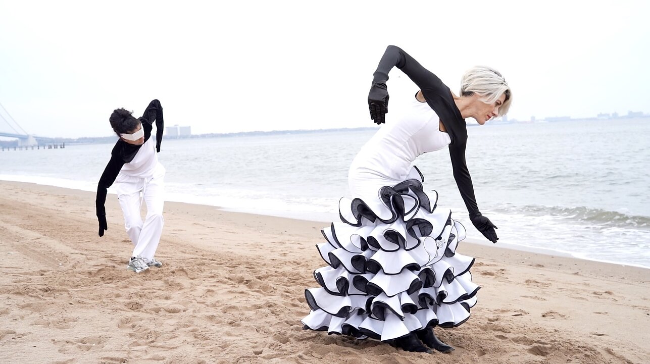 „BeachBirds“. Menininkė Ivana Larrosa