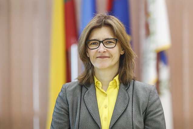 Šiaulių miesto savivaldybės Miesto ūkio ir aplinkos skyriaus vedėja Eglė Bružienė