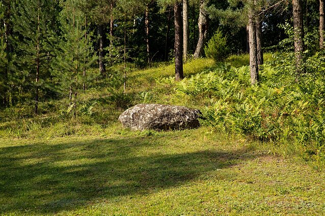 Eglės Makselytės sodyba