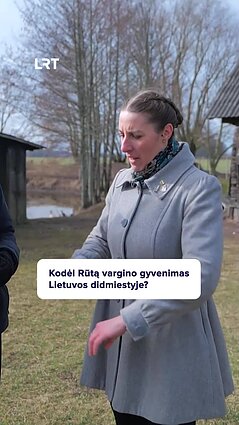 Kas didmiestyje vargino Rūtą?