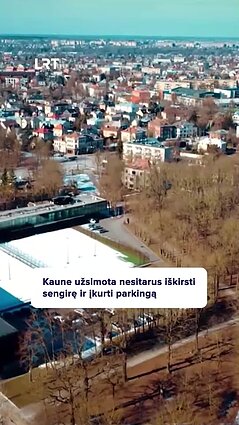 Ąžuolyno bėdos tęsiasi: savivalda užsimojo nesitarusi iškirsti sengirę ir įkurti parkingą