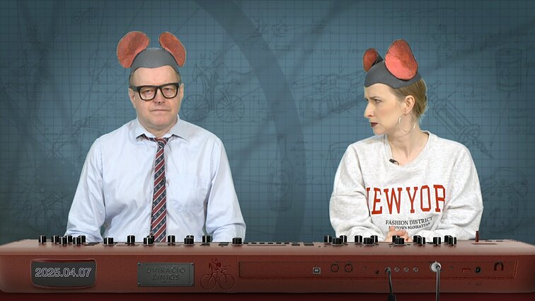 Peliukai apie pirmyn šovusį konservatorių laivą: iškėlė burę ar tiesiog atsikratė inkaro?