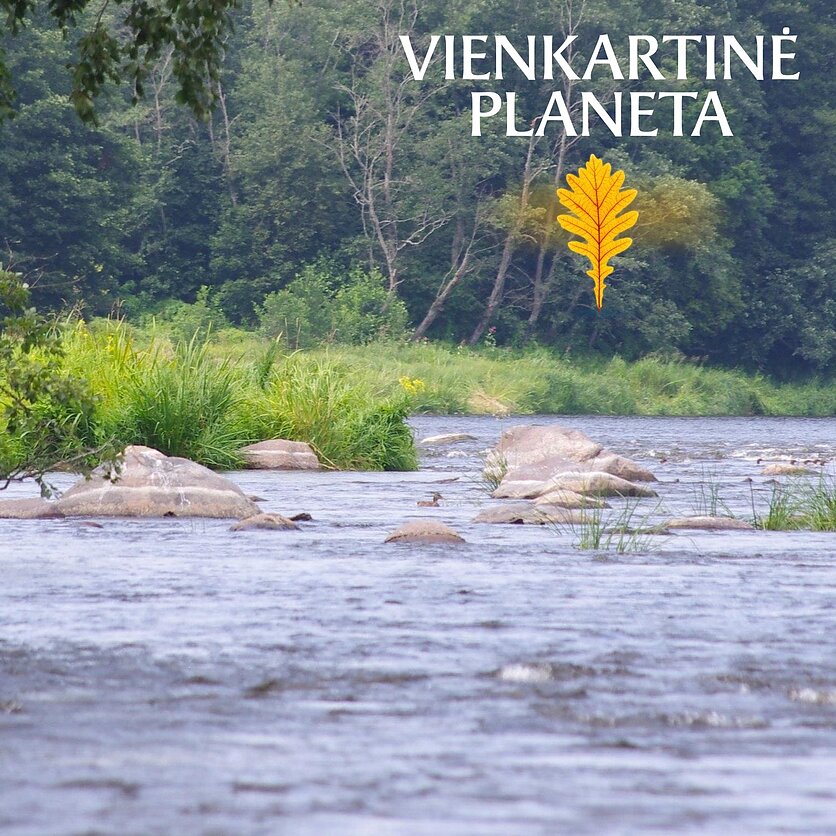 Mokslininkai siūlo išbraukti Nerį ir Nemuną žemiau Alytaus iš vandens kelių sąrašo