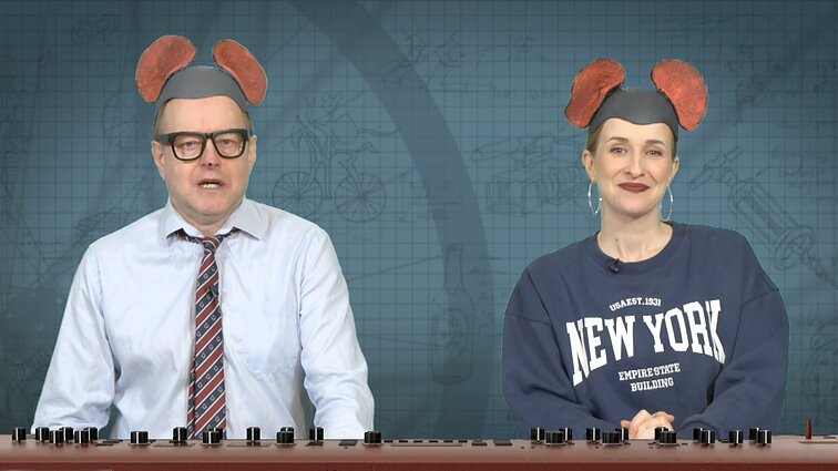 Peliukai apie Trumpo muitų karą prieš pingvinus: kalta pingvinų arogancija?