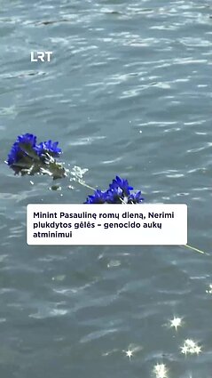 Pasaulinė romų diena: genocido aukoms atminti, Nerimi plukdytos gėlės