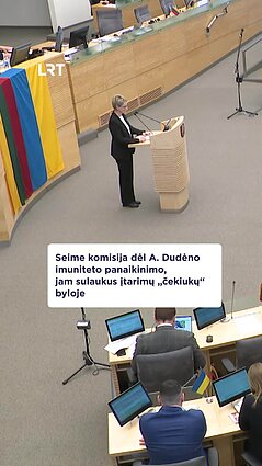 Seimas sudarė komisiją dėl Dudėno imuniteto naikinimo
