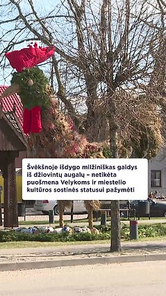 Švėkšnoje išdygo milžiniškas gaidys iš džiovintų augalų