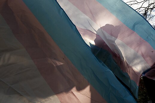 Transgender flag (associative image)