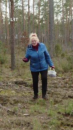 Ar miškuose jau randate bobausių?