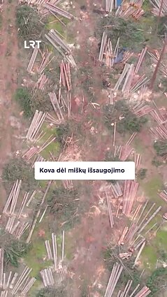 Ar Vyriausybė laikosi pažado saugoti miškus?