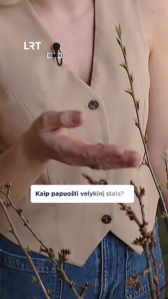 Dekoracijos Velykų stalui: ką galima pasidaryti iš gėlių?