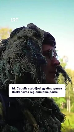 Čepulis lankosi Krekenavos regioniniame parke: kur sustosi – ten žvėrys