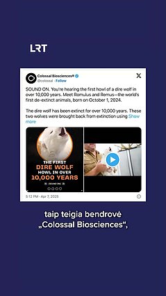 Vėl pasigirdo išnykusių vilkų kauksmas – dalis mokslininkų vertina skeptiškai
