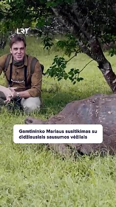 Gamtininkas Karlonas apie milžiniškus vėžlius: tik pažvelkite į šį dinozaurą