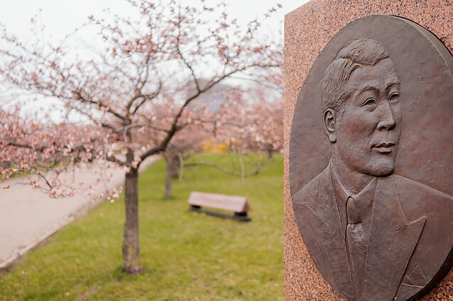 Sakuros Vilniuje, Čijunė Sugihara