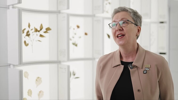 Linos Antanavičienės komentaras apie prasidėjusią EXPO 2025 parodą ir Baltijos paviljoną