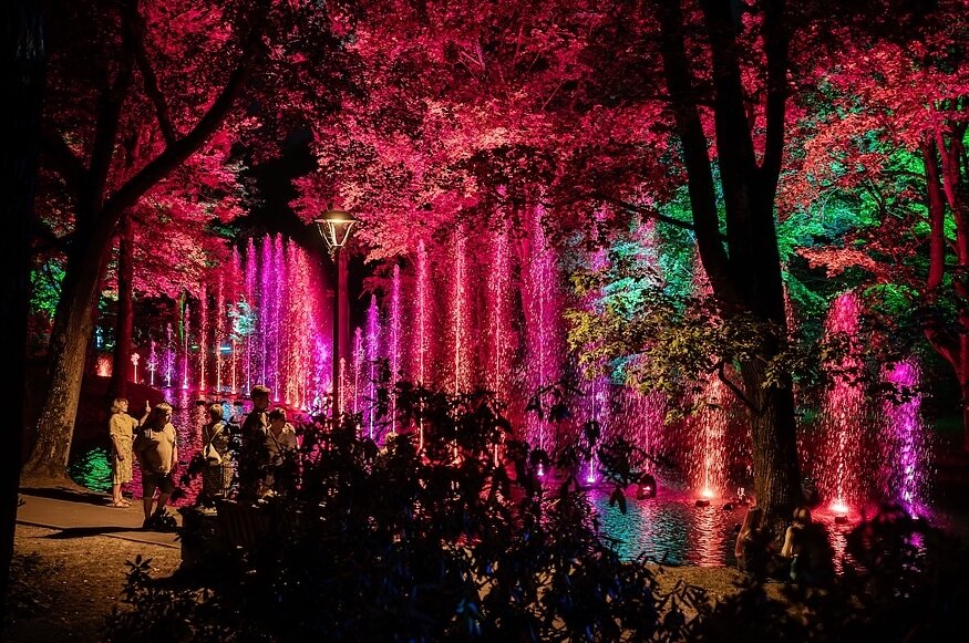  „Botaninės naktys 2024“
