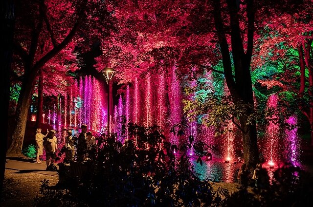  „Botaninės naktys 2024“